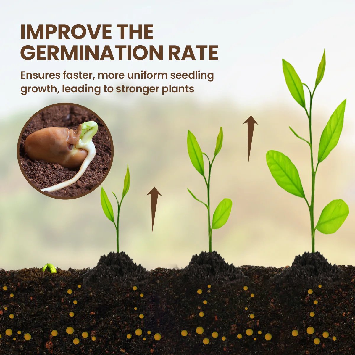🏆 75K+ Sold! Soil Pro Activator — The Ultimate Soil Booster for Healthier Plants 🌳