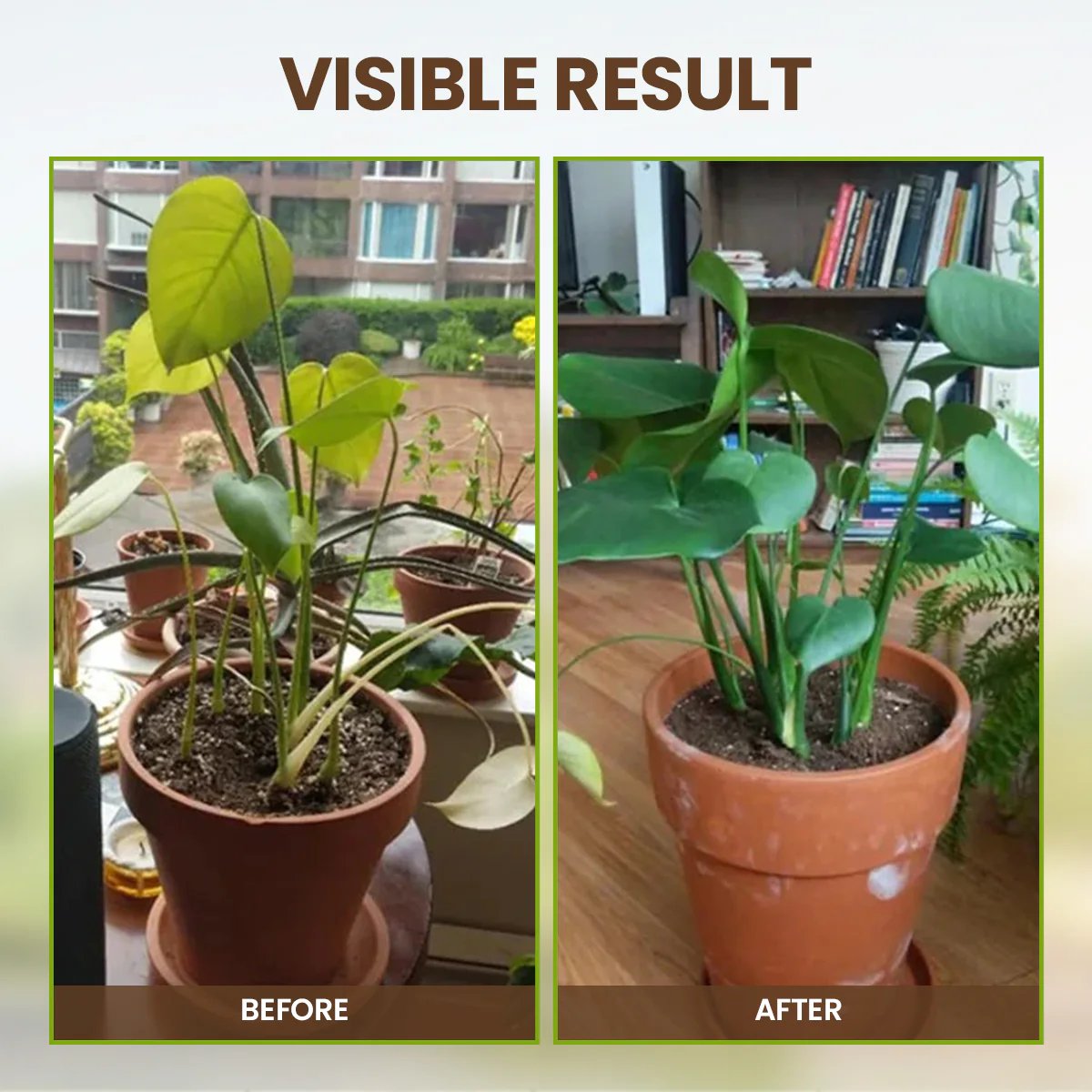 🏆 75K+ Sold! Soil Pro Activator — The Ultimate Soil Booster for Healthier Plants 🌳