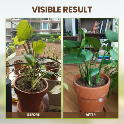 🏆 75K+ Sold! Soil Pro Activator — The Ultimate Soil Booster for Healthier Plants 🌳