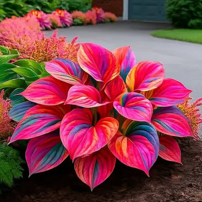🔥Premium Rare Hosta Seeds – Stunning, Shade-Tolerant Perennial for Beautiful Shade Gardens🌿